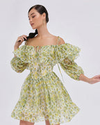 Spring Meadow Ruffle Dress