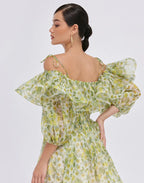 Spring Meadow Ruffle Dress