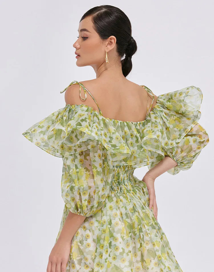 Spring Meadow Ruffle Dress